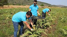 Bodrum Belediyesi Tarımsal Çalışmaları Sürüyor 