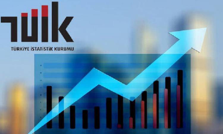 Enflasyon: Enag Yüzde 156,86 / TÜİK Yüzde 69,97