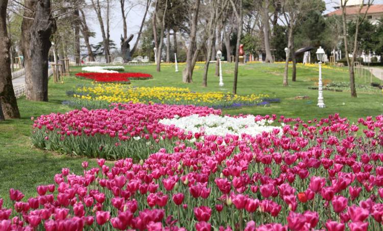 Lale Bayramı Başlıyor