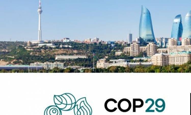 TÜSİAD COP29 Yeşil Dönüşüm